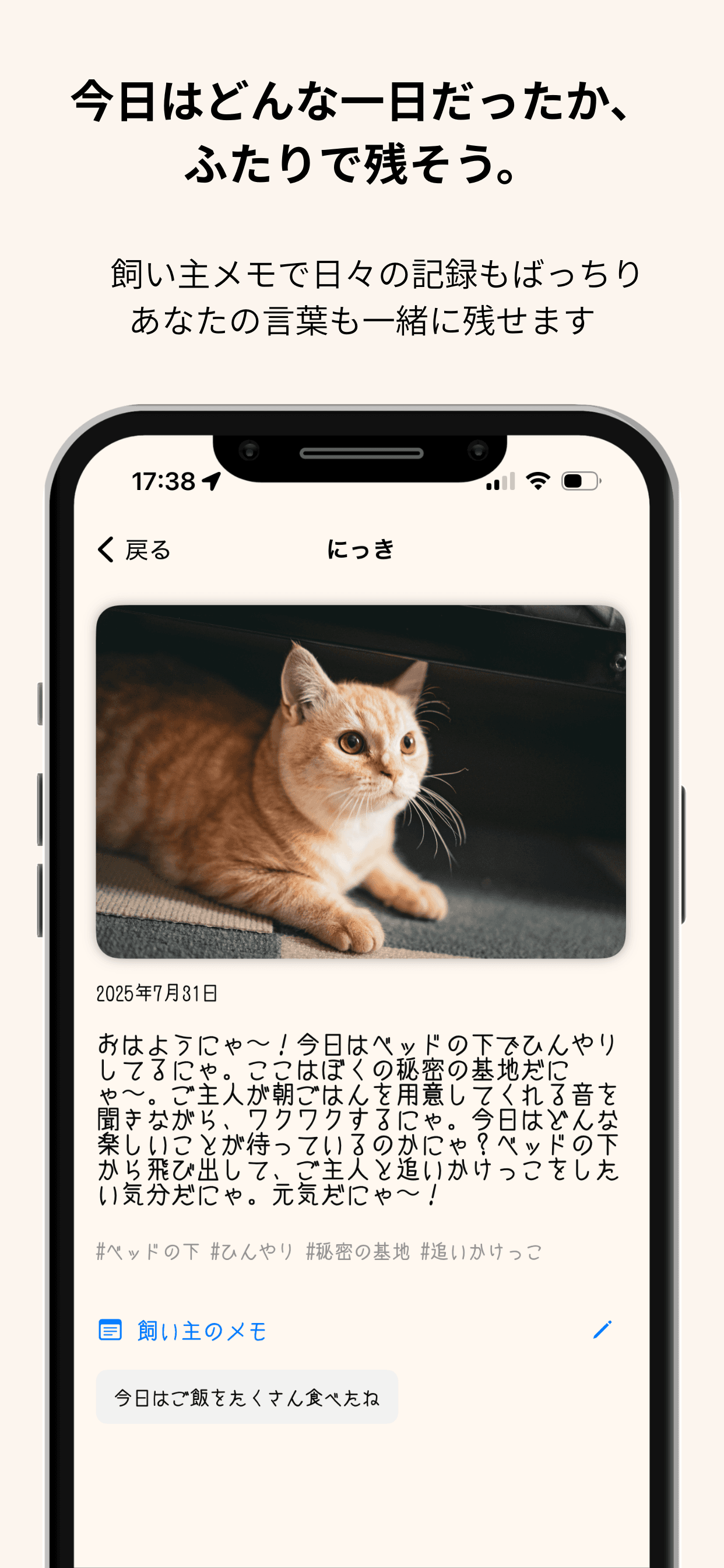 設定画面